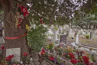 THE ANGELS PLOT AS IT WAS IN 2009